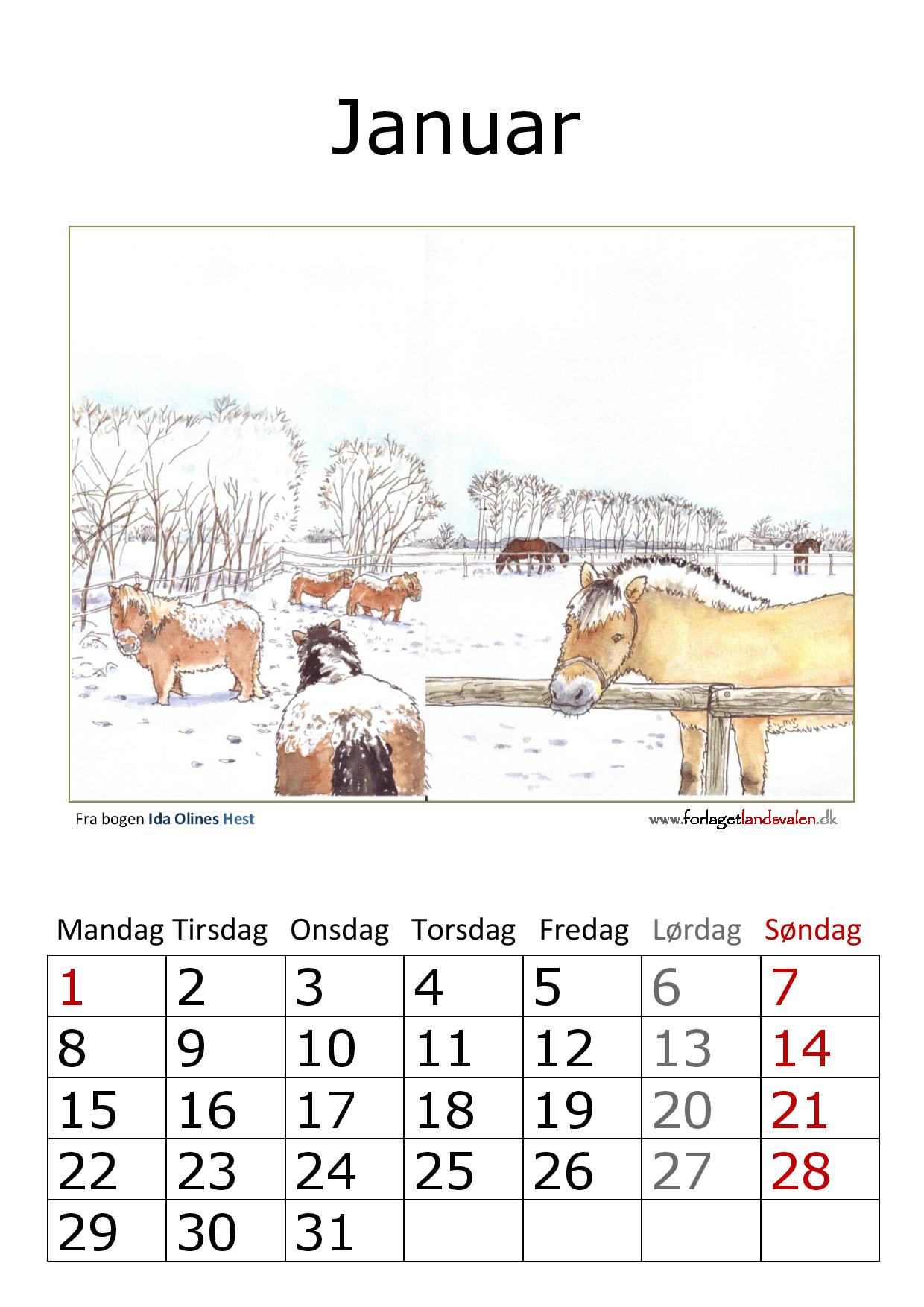 Hestekalender 2018 Hestekalender 2018