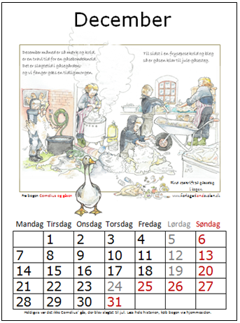 Forlaget Landsvalen - 2020 gåse-kalender Forlaget Landsvalen - 2020 gåse-kalender